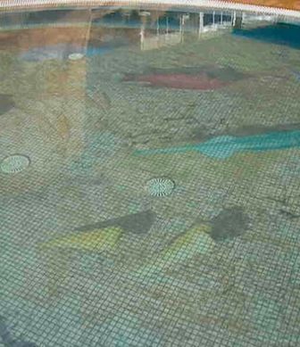Glass mosaic hd pools01_03 mini