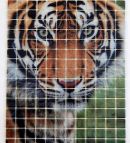 Glass mosaic hd 09 Glass mosaic hd 09
