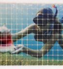Glass mosaic hd 12 Glass mosaic hd 12