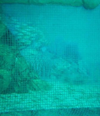 Glass mosaic hd pools01_07 mini