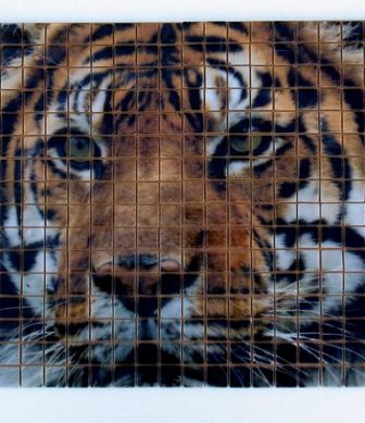 HD glass mosaic tiles Lion mini