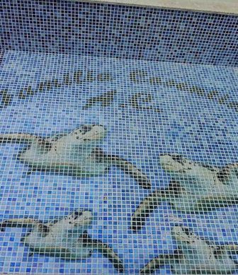 Glass mosaic hd pools06_3 mini